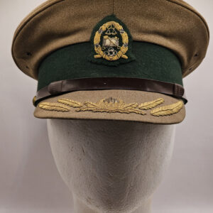 sapr vc01 1 1.jpg